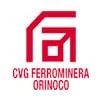 LogosCVG_Ferro